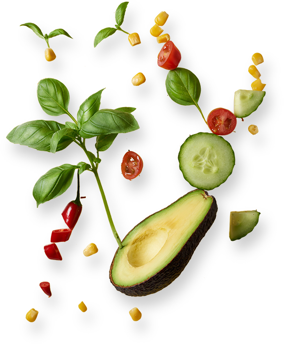 fruit
